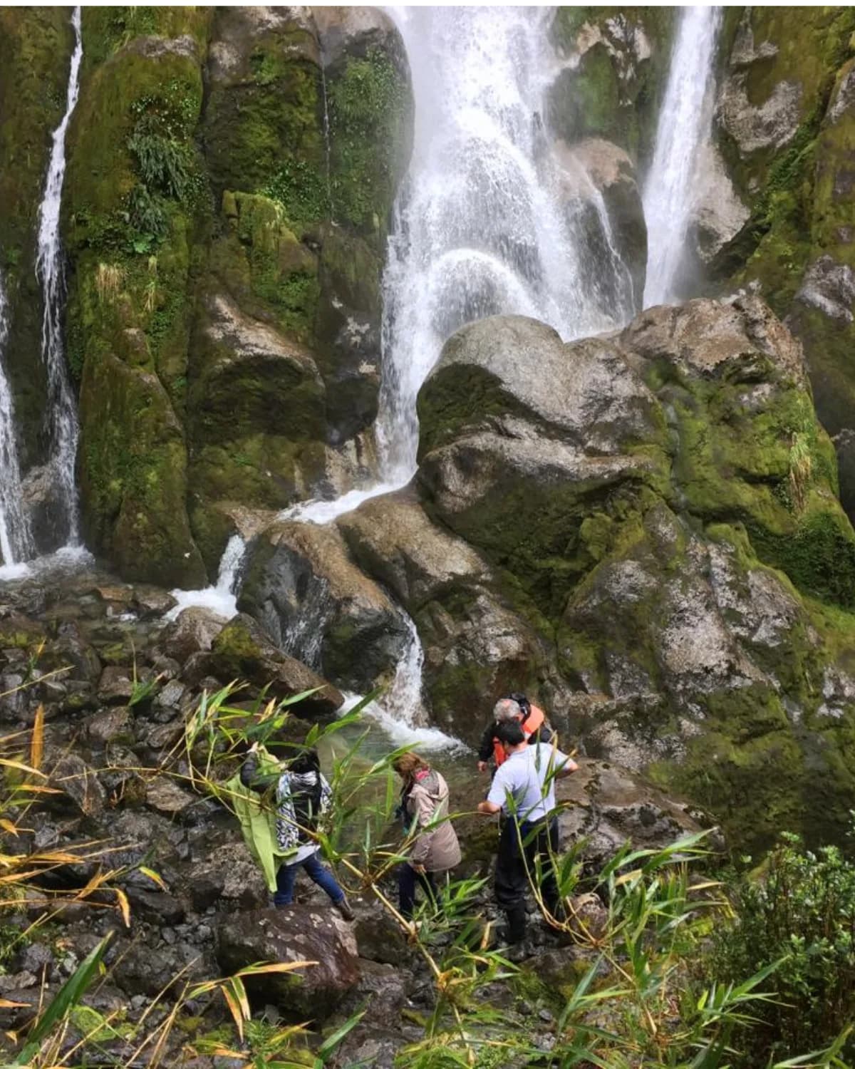 Charter privado Western Patagonia — navegación en los canales patagónicos 1