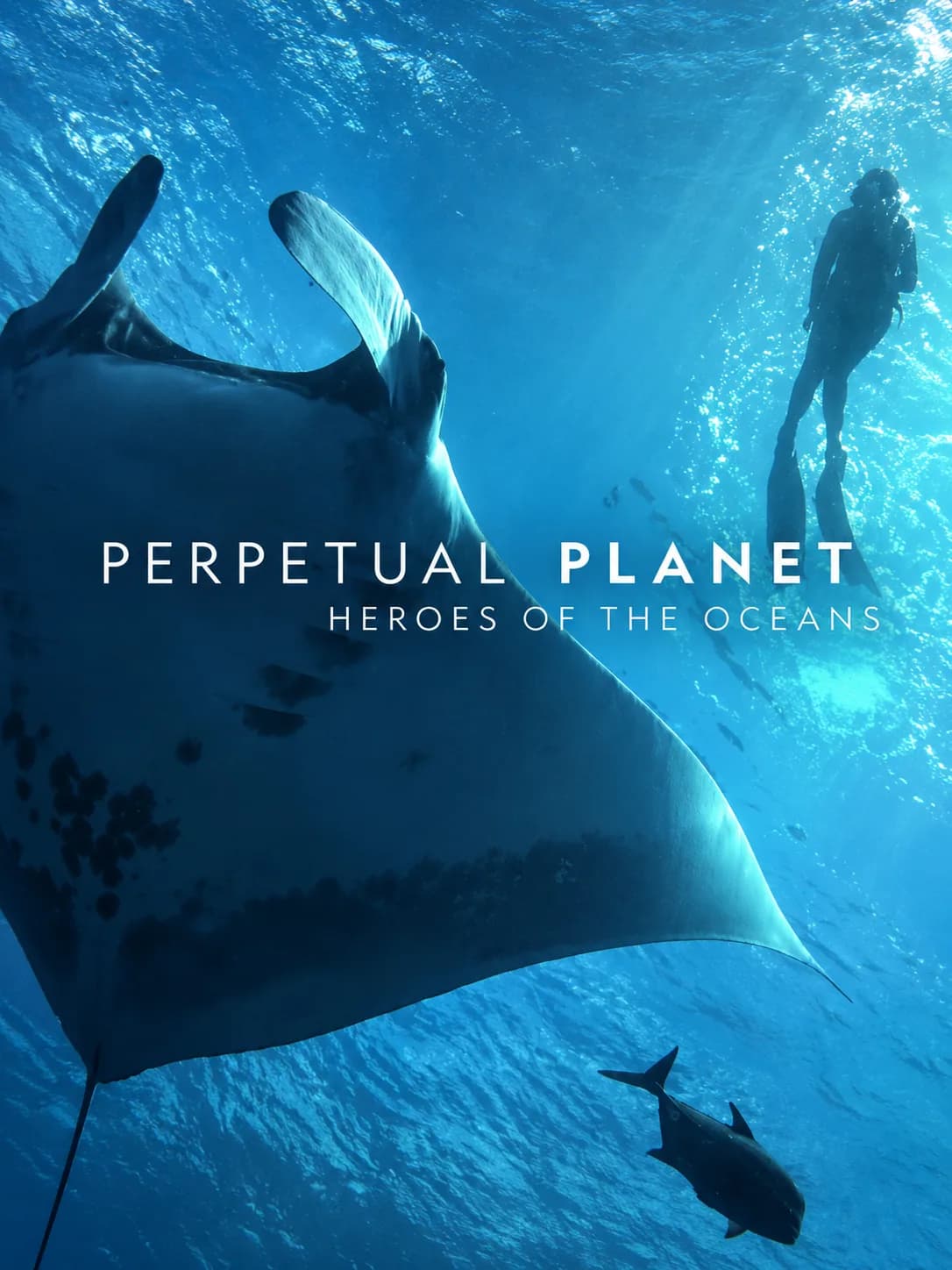 Portada de Perpetual Planet: Heroes of the Oceans: una manta raya y un buzo bajo el agua