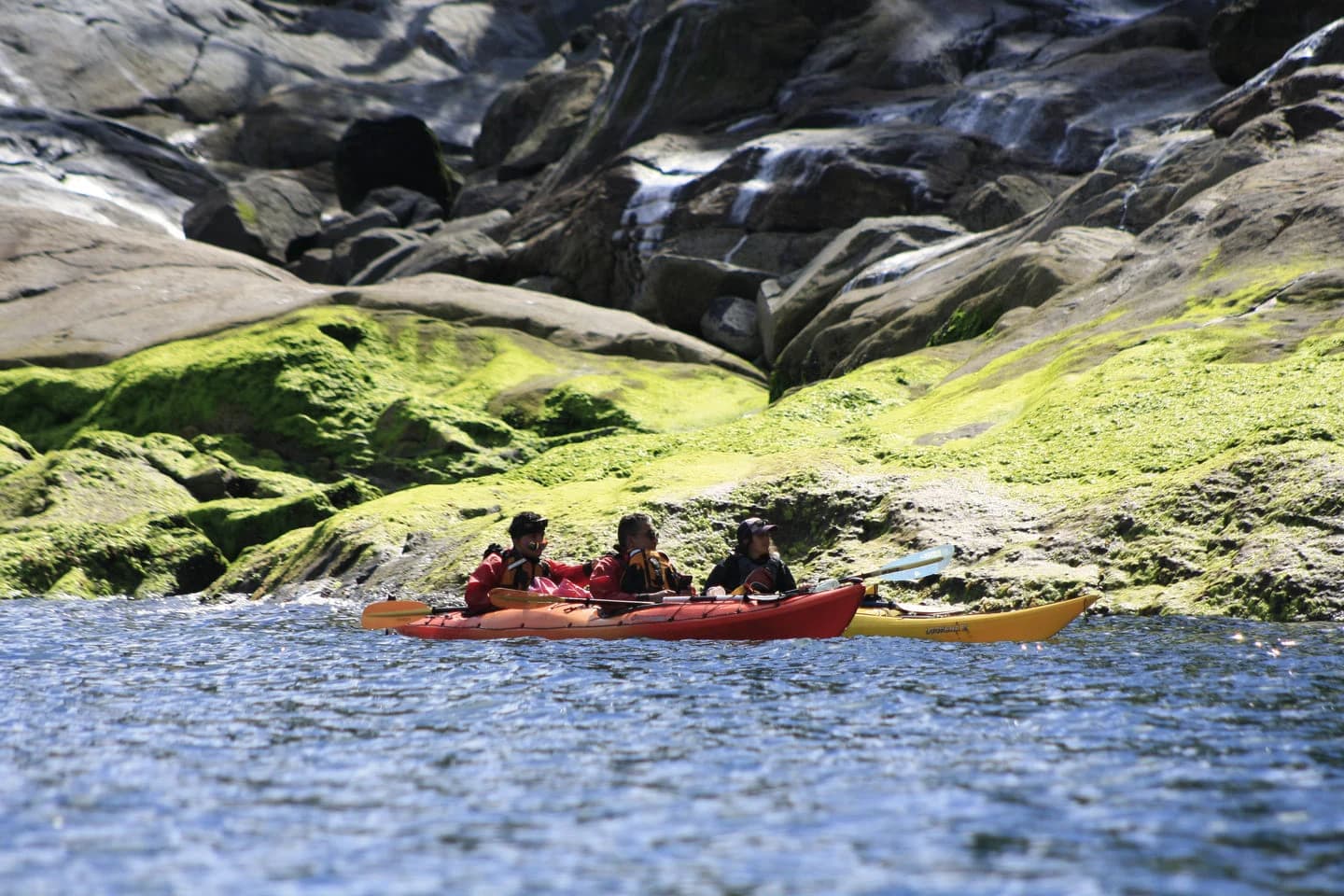 Kayaks navegando junto a una costa rocosa con musgo verde