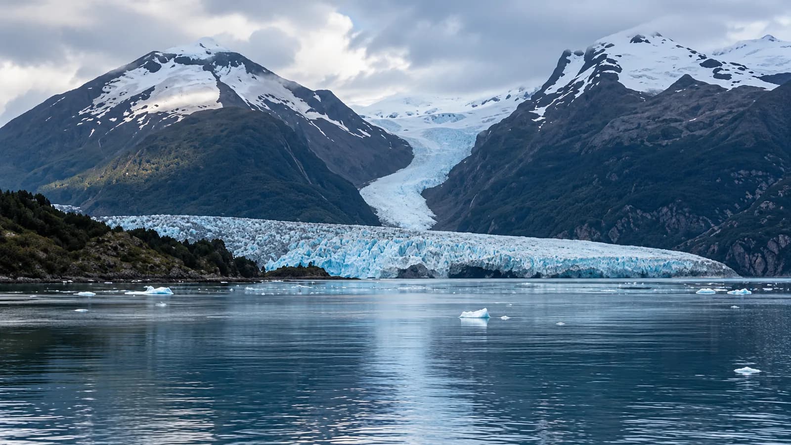Fiordos y glaciares del sector de Estero Las Montañas, Magallanes