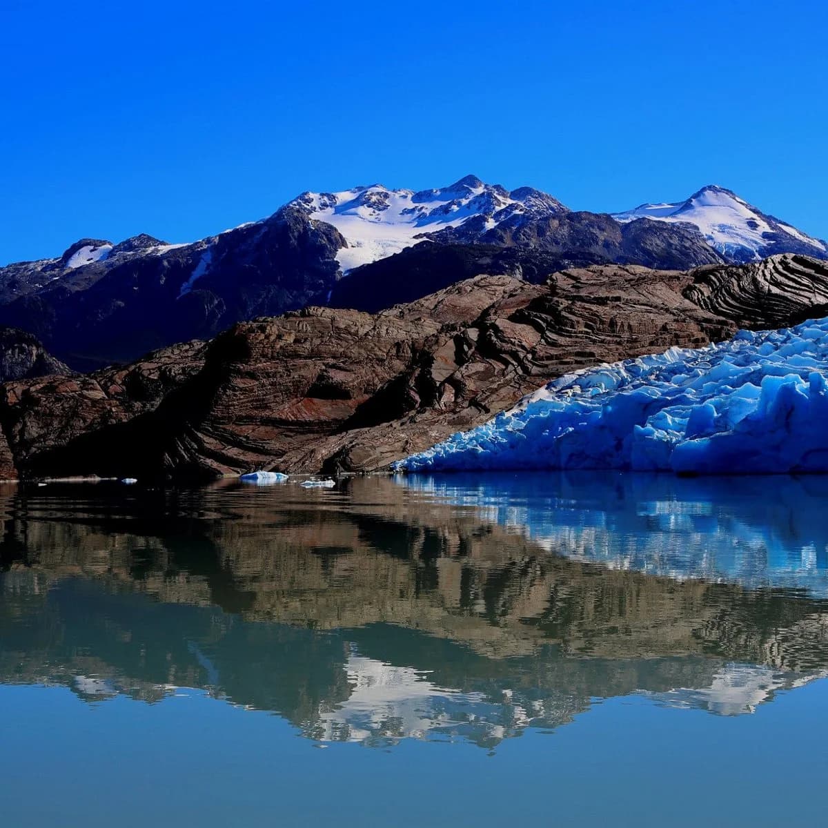 Frente del Glaciar Grey con hielo azul sobre el lago