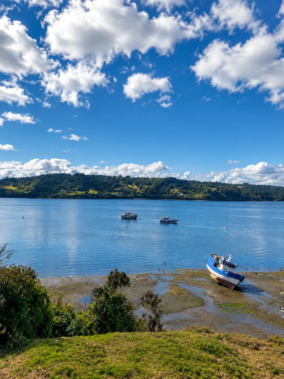Botes pesqueros junto a la orilla de una bahía del archipiélago de Chiloé